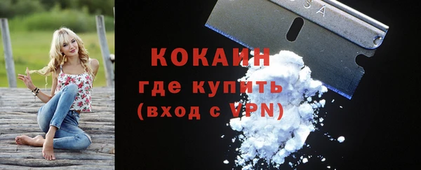 ГАЛЛЮЦИНОГЕННЫЕ ГРИБЫ Вязники