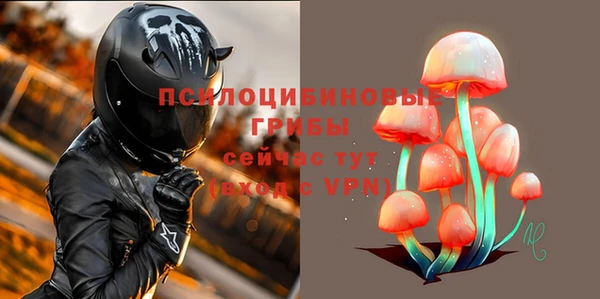 метадон Абаза