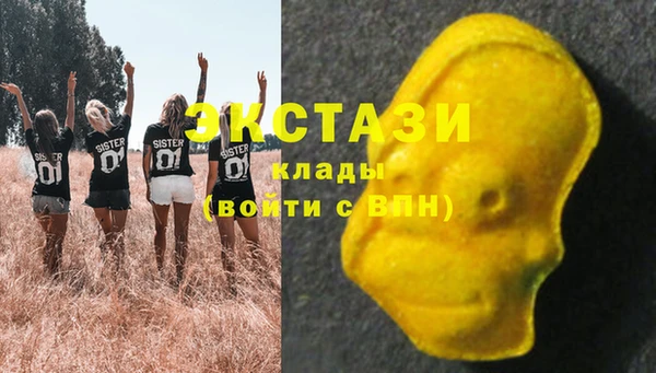 СК Алексин