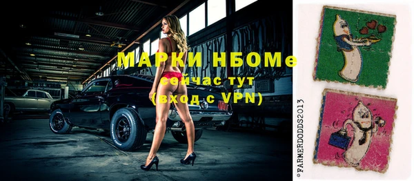 СК Алексин