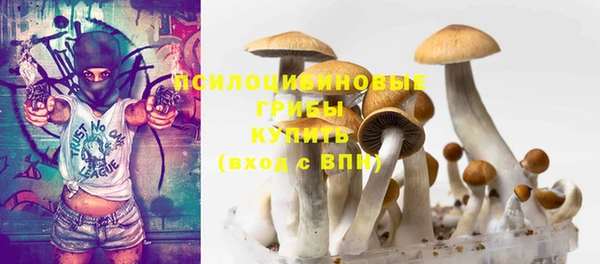 не бодяженный Алзамай