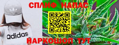 спиды Шелехов