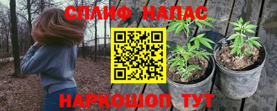 спиды Шелехов