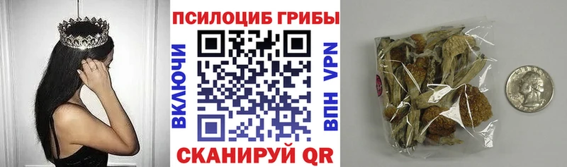 наркота  Киржач  Галлюциногенные грибы MAGIC MUSHROOMS 