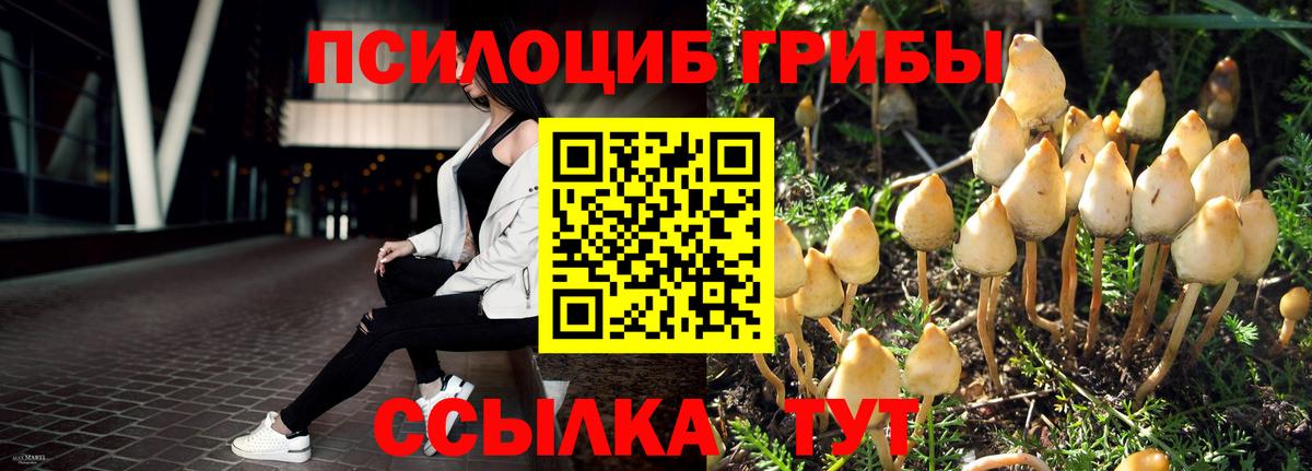 Галлюциногенные грибы Psilocybe  Галлюциногенные грибы мухоморы  Вход с VPN  Киржач 